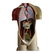 Vintage Male Anatomical Model - 5