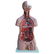 Anatomical female model - 5