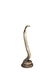 Taxidermy Standing Cobra - 2