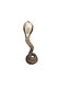 Taxidermy Standing Cobra - 3