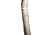 Taxidermy Standing Cobra - 4