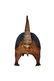 Taxidermy Armadillo - 4