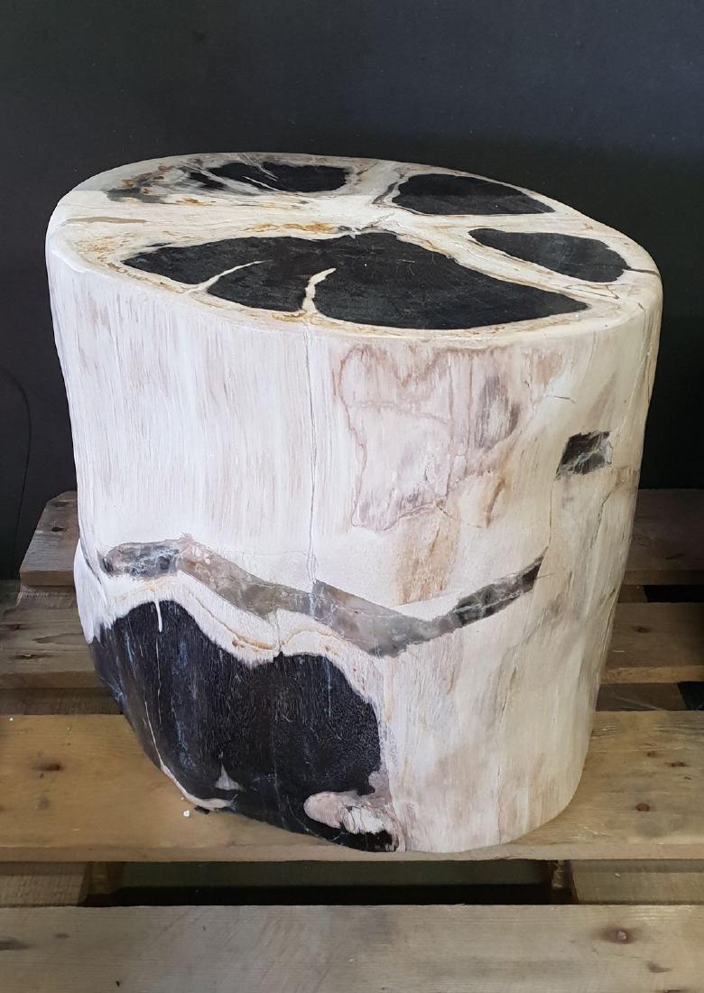 Petrified Wooden Trunk, black and white: Versteinerter Holzstamm, schwarz-weiss. Herkunft: Indonesien. Alter: ca. 5 Mio. Jahre. Gewicht: ca. 120kg. Petrified Wooden Trunk, black and white. Origin: Indonesia. C. 5 Mio. years old. Weight: c. 1