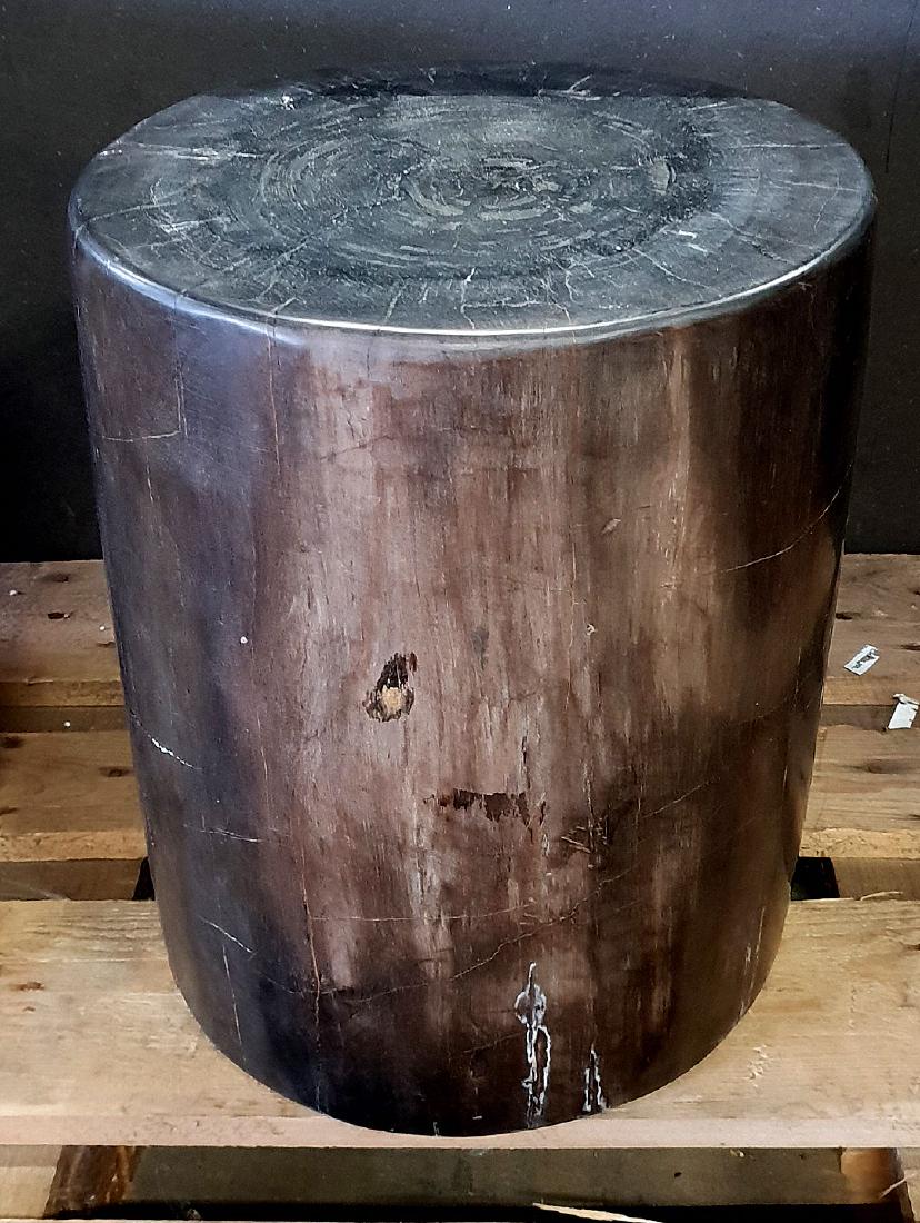 Petrified Wooden Trunk, black and white: Versteinerter Holzstamm, schwarz. Herkunft: Indonesien. Alter: ca. 5 Mio. Jahre. Gewicht: ca. 78kg. Petrified Wooden Trunk, black and white. Origin: Indonesia. C. 5 Mio. years old. Weight: c. 78kg.Ohn