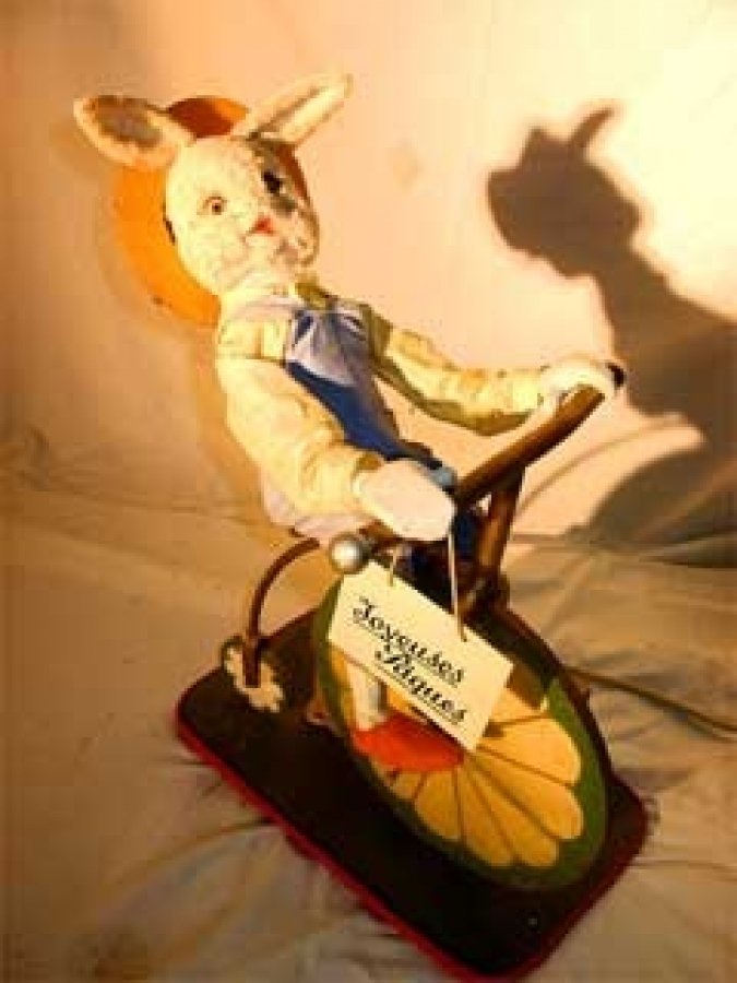 r for rabbit cycle review