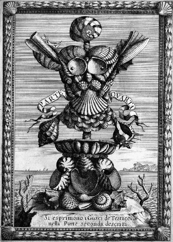 Buonanni, Filippo: Ricreatione dell'occhio: Buonanni, Filippo. Ricreatione dell'occhio e della mente nell'osservation' delle chiocciole. Tafelband zu allen 3 Teilen. Mit 2 Kupfertiteln, 3 gestoch., ornamentalen Zwischentiteln und 10