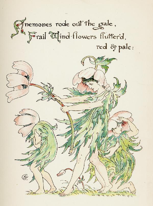 Crane, Walter: Flora's Feast. A Masque of Flowers: Crane, Walter. Flora's Feast. A Masque of Flowers. 40 S., 1 Bl., 8 S. Anzeigen. Mit 40 ganzs. farblith. Illustrationen von W. Crane. 25,5 x 19 cm. Illustr. OHleinenband (gering berieben); als Bloc