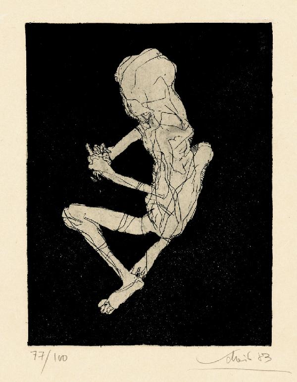 Scheib, Hans: Figur (VA): Scheib, Hans. Figur. Herausgegeben von W. Zemter. 120 S. Mit zahlr., teils farb. Abb. und 1 signierten und datierten Original-Radierung von Hans Scheib. 33 x 24,5 cm. Farb. illustr. OPappband. Schwetz