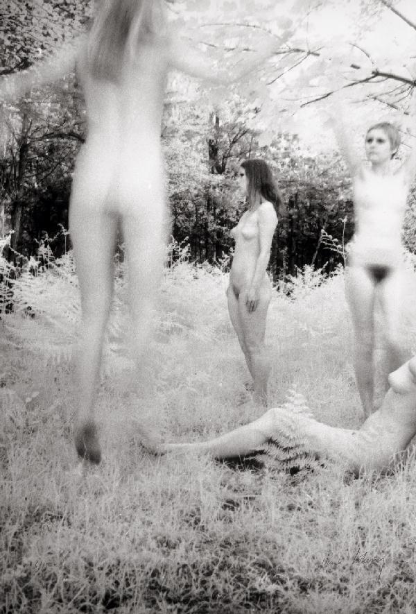 Székessy, Karin: En bois blanc; Bois blanc: "En bois blanc"; "Bois blanc" (series). 1970s. 2 vintage large-format matte gelatin silver prints on Agfa paper. 59,5 x 41 cm and 42 x 60 cm. First print signed, second print signe