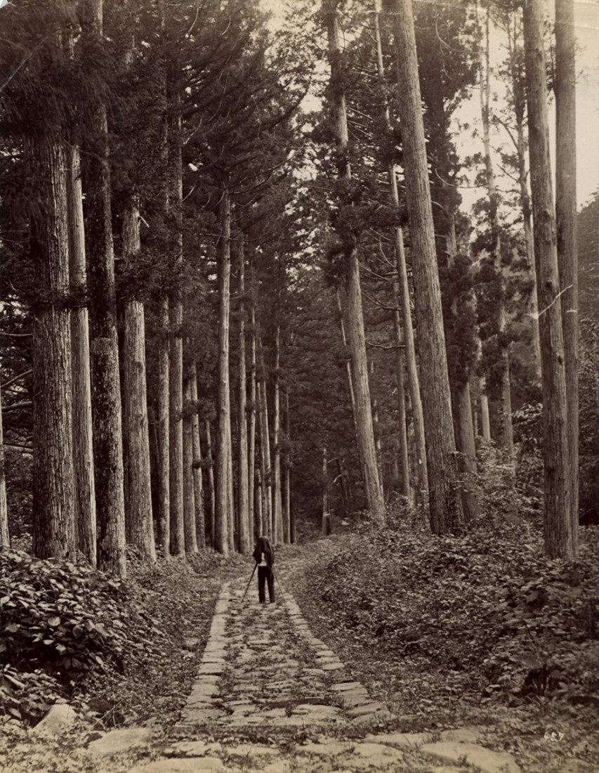 Japan: Views of Japan: Photographer unknown. Views of architecture, landscapes and gardens in Japan. 1880s/90s. 19 albumen prints. Each circa 26,1 x 20,5 cm and 20,9 x 26,8 cm. Some prints with number in the negative in low