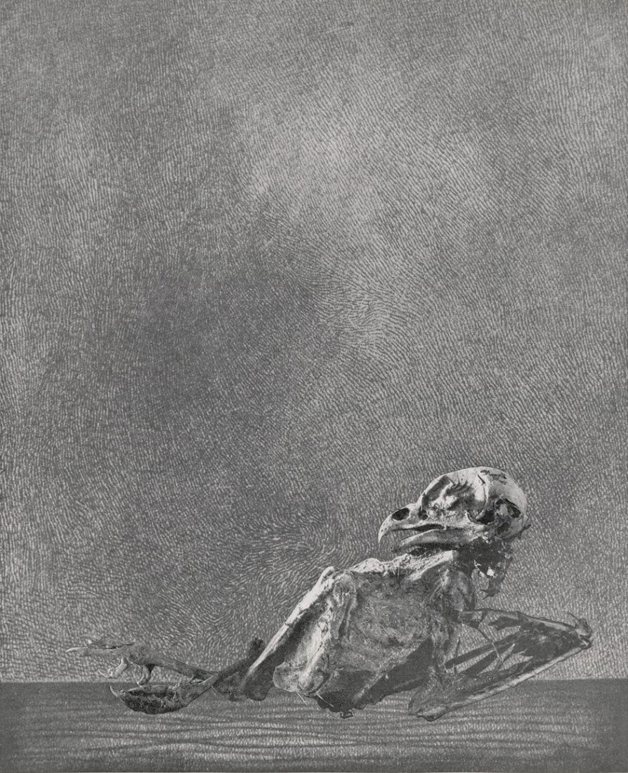 Muche, Georg: Totentänze. Variographien: Muche, Georg. Totentänze. Variographien. Mit 11 Variographien. 29,5 x 42,5 cm. Orig.-Spiralheftung und OPp -Mappe. (Lindau 1967). Schiller 55-65. Eines von 300 numer. Exemplaren. Druckvermerk vom