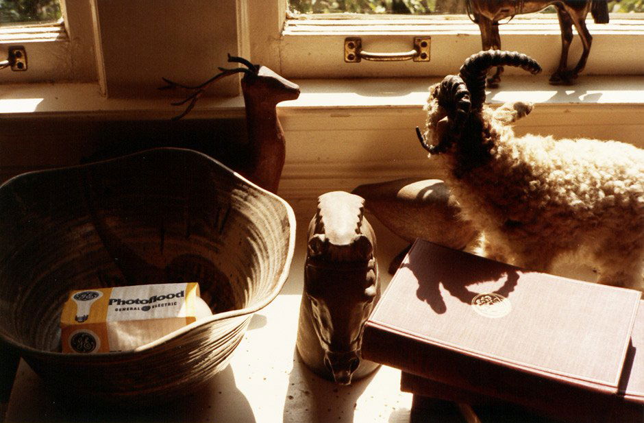 Eggleston, William : Untitled (Still life): Untitled (Still life). 1990. Chromogenic print on Kodak paper. 14,2 x 21,7 cm (20,5 x 25,3 cm). Signed by the photographer in ball-point pen under the image in the margin.From Eggleston's series 'Faul