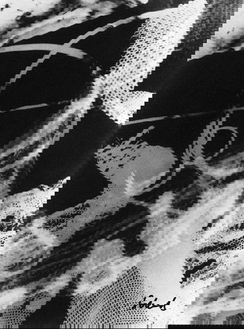 Schad, Christian: Schadographie: Schadographie (photogramm) Nr 24 b. 1960/printed 1970s. Copyline-P90-paper print. 15,5 x 11,5 cm. Signed by the photographer in ink in bottom right corner. Matted.In excellent condition. Lit.: Museum