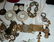 Case #1, unsorted pre70s costume jewelry & display - 7