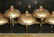 19th C. Cylinder Music Box 12 Airs & Nine Bells - 7