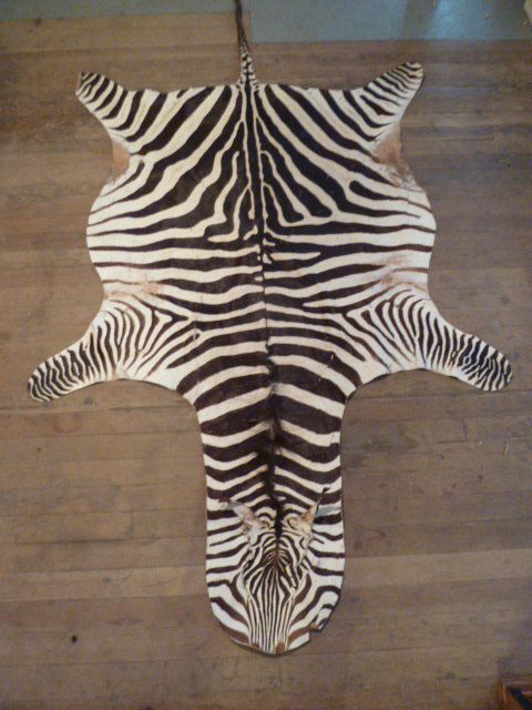 ZEBRA HIDE SOFT & SUPPLE (1 of 4)