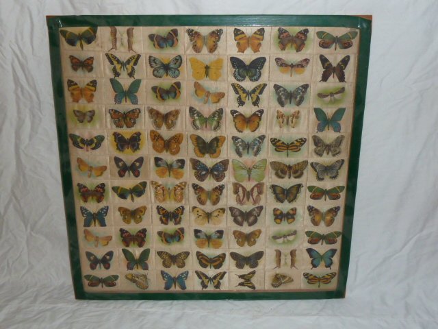 BUTTERFLY MUSEUM TOKIO CIGARETTE SILKS 1910 (1 of 8)