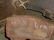 GERMAN CAMPAIGN HELMET ORIG. CAMAOUFLAGE PAINT - 7