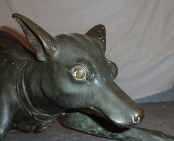 LIFE SIZE BRONZE SCULPTURE FIGURAL DOG: SHOWING A LIFE SIZE BRONZE SCULPTURE FIGURAL DOG . MEASURES 30" LONG BY 18 1/4" TO TOP OF TAIL AND 17" WIDEST POINT BACK FEET . AS FOUND ESTATE CONDITION.PLEASE USE PHOTOS AS PART OF THE DESCRIPTION. 