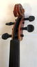 Antique Violin With R.F. Hoyer Bow & Case - 6
