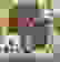 item-56837955=2