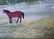 New England Folk Art Paintings, Ken Harris (2) - 2