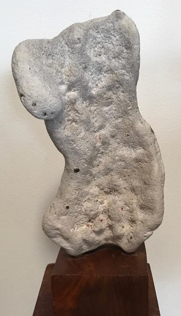 Carved Coral Torso Sculpture On Wood Base , 1950's (1 of 6)