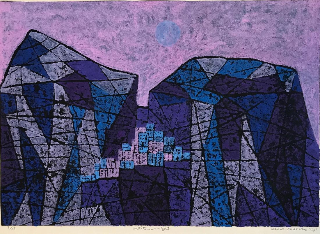 HILLTOWN-NIGHT Silkscreen, David Shapiro: Titled: Hilltown-Night. Abstract limited edition silkscreen signed, titled and numbered in pencil by the artist, David Shapiro. Edition: 7/25. Dimensions: framed: 30" x 23.6", sight: 24" x 17.6". Cond