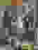 item-63902013=2