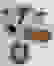 item-64467807=3