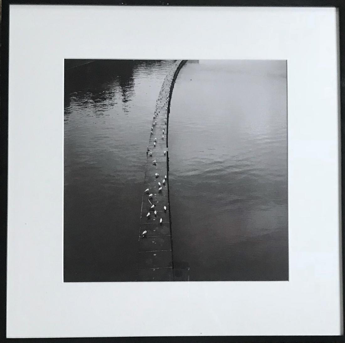 Keith Carter Gelatin Silver Print RESTING GILLS: Gelatin silver print signed and titled by the photographer, Keith Carter, 2001. Title: Resting Gills. Keith Carter (American, 1948). Edition of 1/35. View label on verso. Dimensions: Framed: 23.5 inch