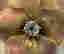 item-75136256=3