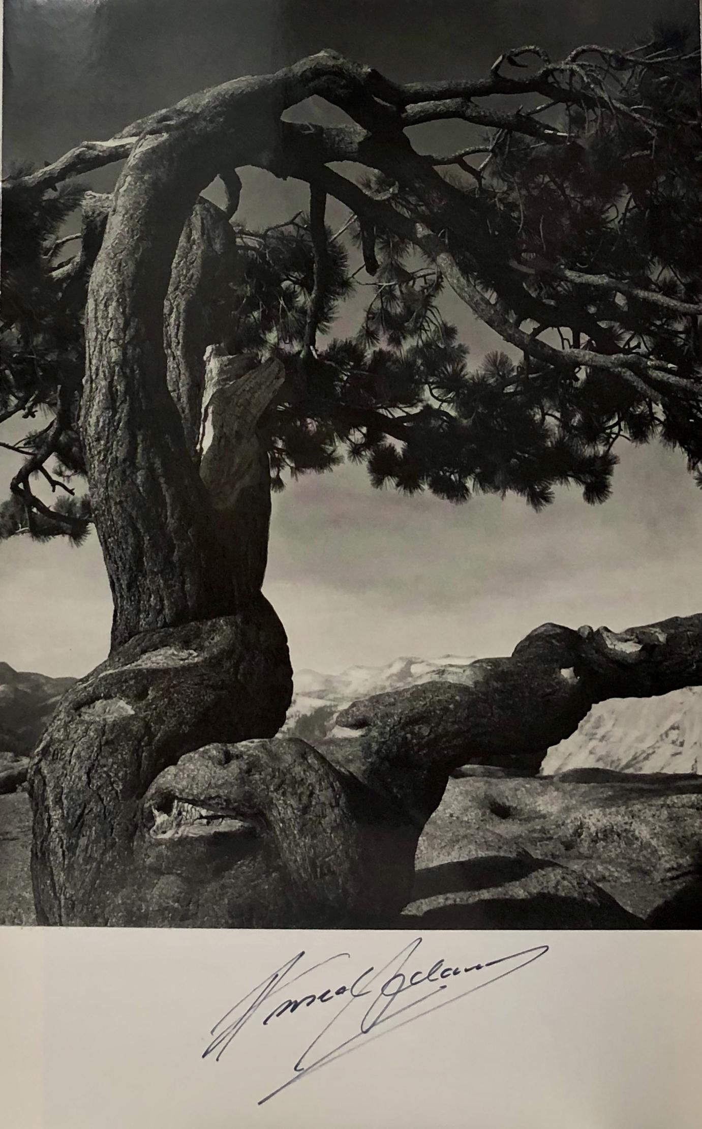 Ansel Adams Half Dome Gelatin Silver Print, Signed (1 of 3)