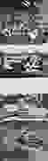item-83031754=7