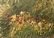 Tropical River Landscape Painting, Donald Gibbs 1970s - 2