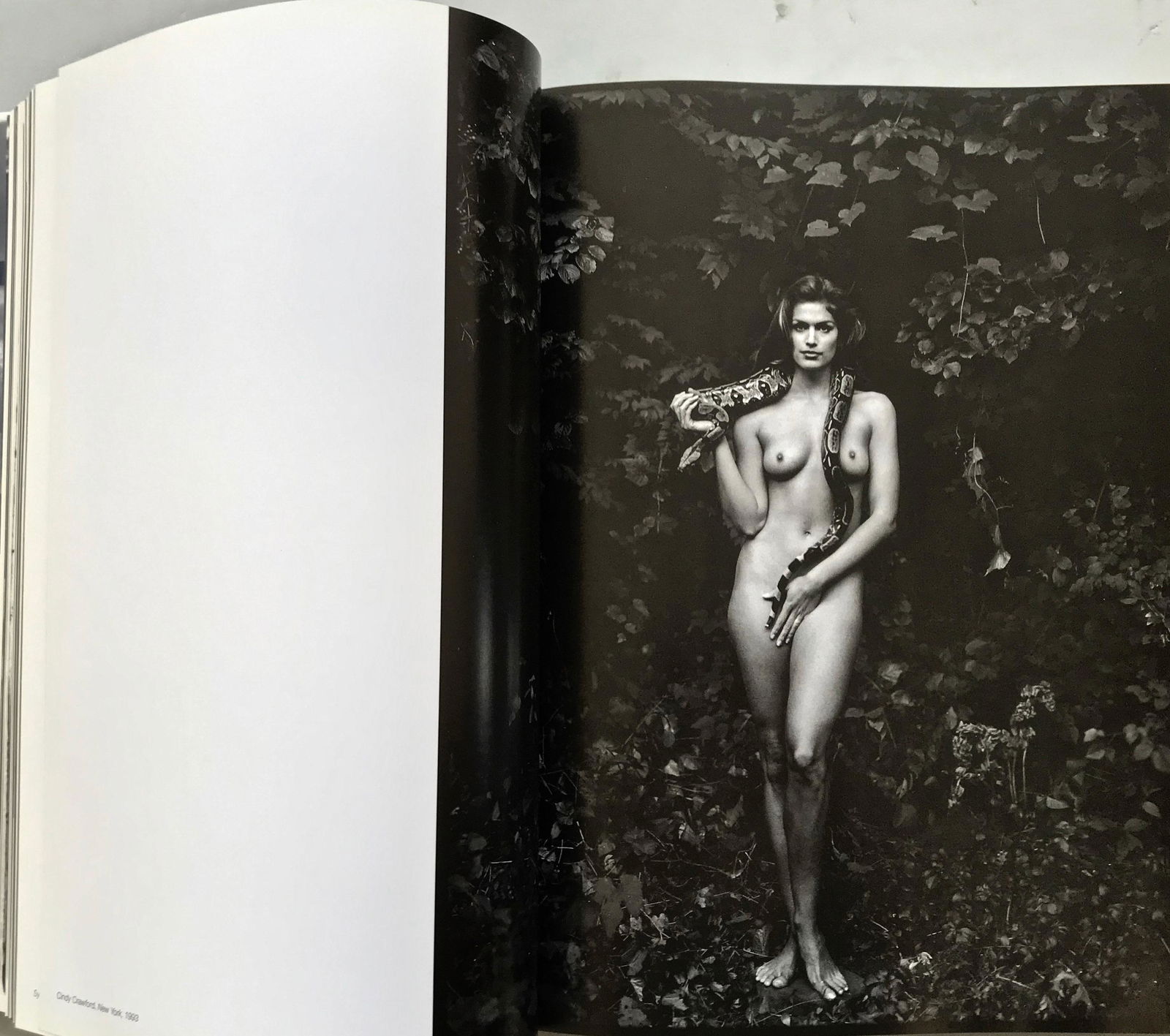 Annie Leibovitz Signed 1st Edition A PHOTOGRAPH LIFE (1 of 5)