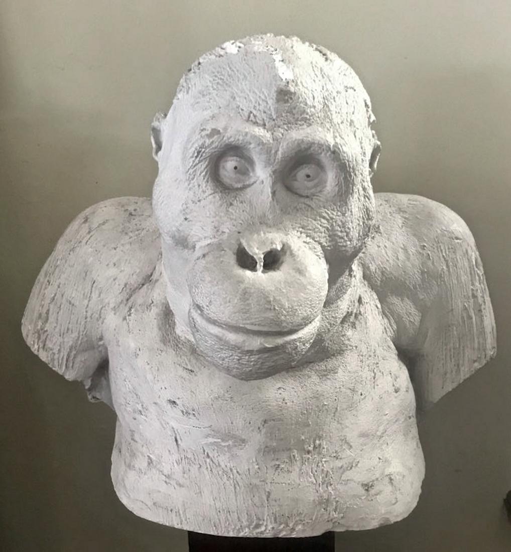 ORANGUTAN Sculpted Model Bust, N.Y. Bronx Zoo 1923 (1 of 7)