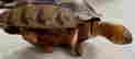 item-107356475=3