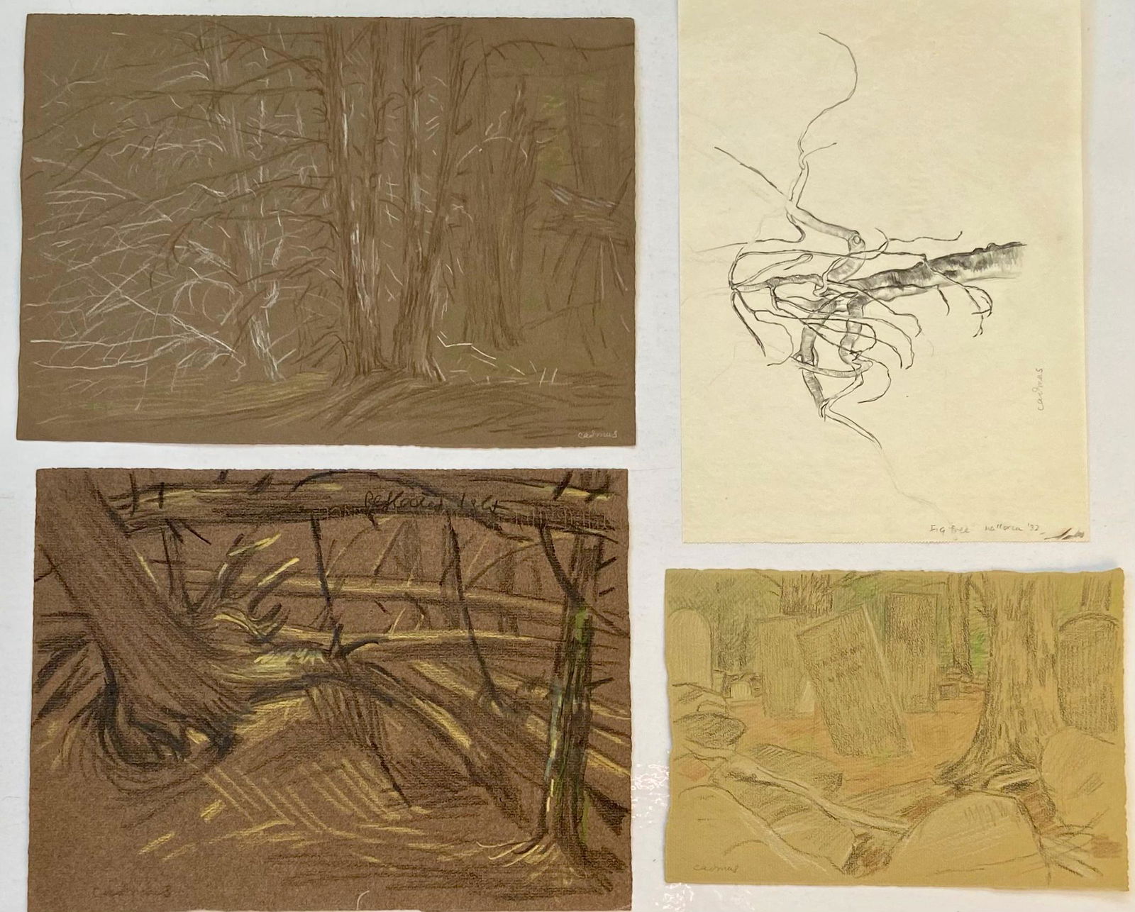 Paul Cadmus (American, 1904-1999) Forest Woodland Drawings (4) (1 of 8)