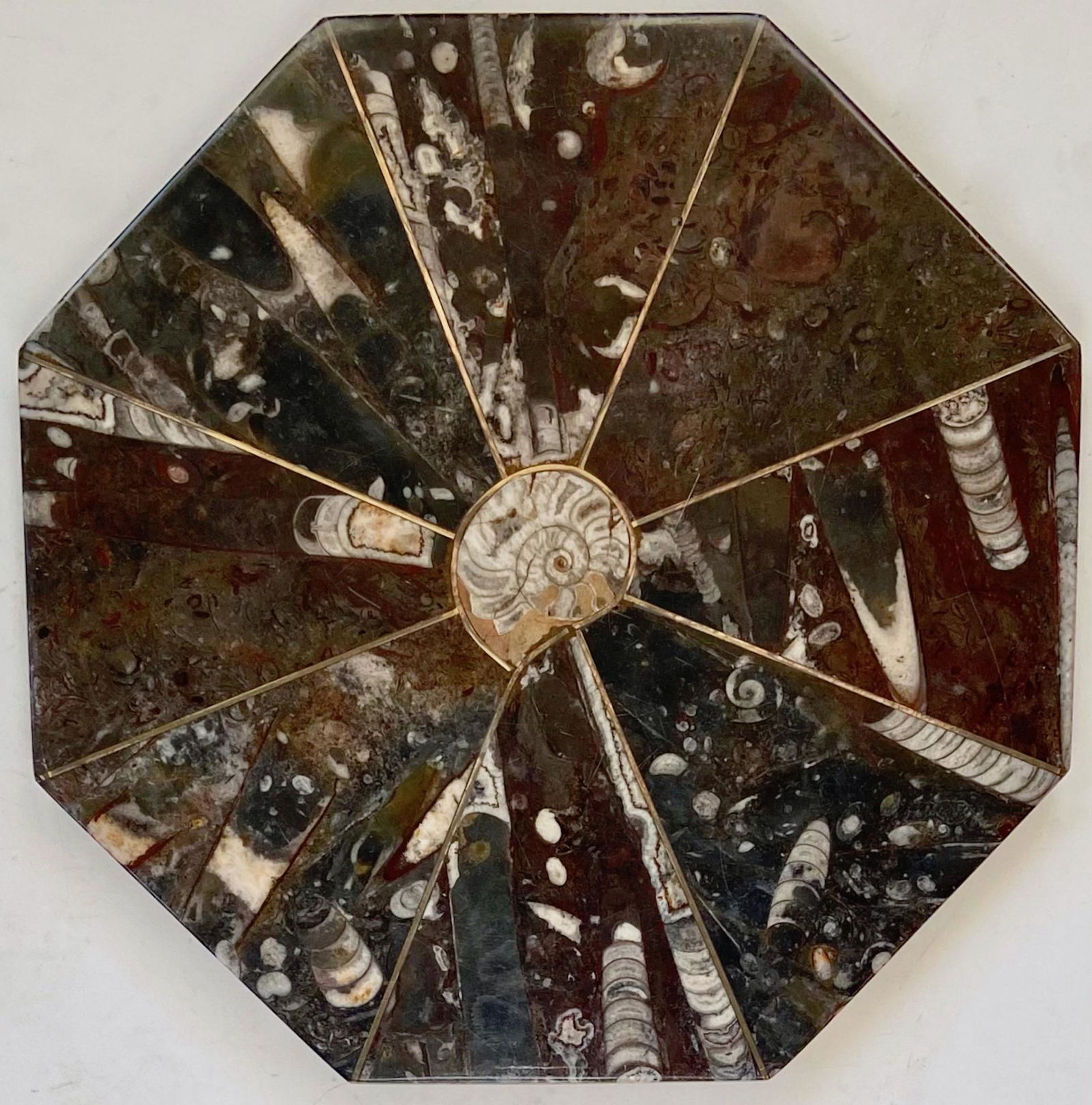A Fossil Specimen Marble Table Top: Fossiliferous seabed marble table top cut and polished from a single block of the ancient ocean denizens. Specimens of Ammonites and Orthoceras in contrasting earthy shades and swirling patterns of wh