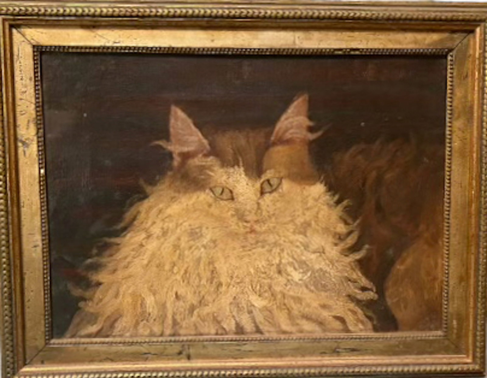 19th Century Persian Cat Painting, Signed E.J.H. 1898: Portrait of a Persian Cat. 19th Century Antique Folk Art Persian Cat Oil Painting. Monogrammed and dated by the artist: E.J.H. 1898 (lower right). Framed oil on canvas, housed in wood frame. Dimension