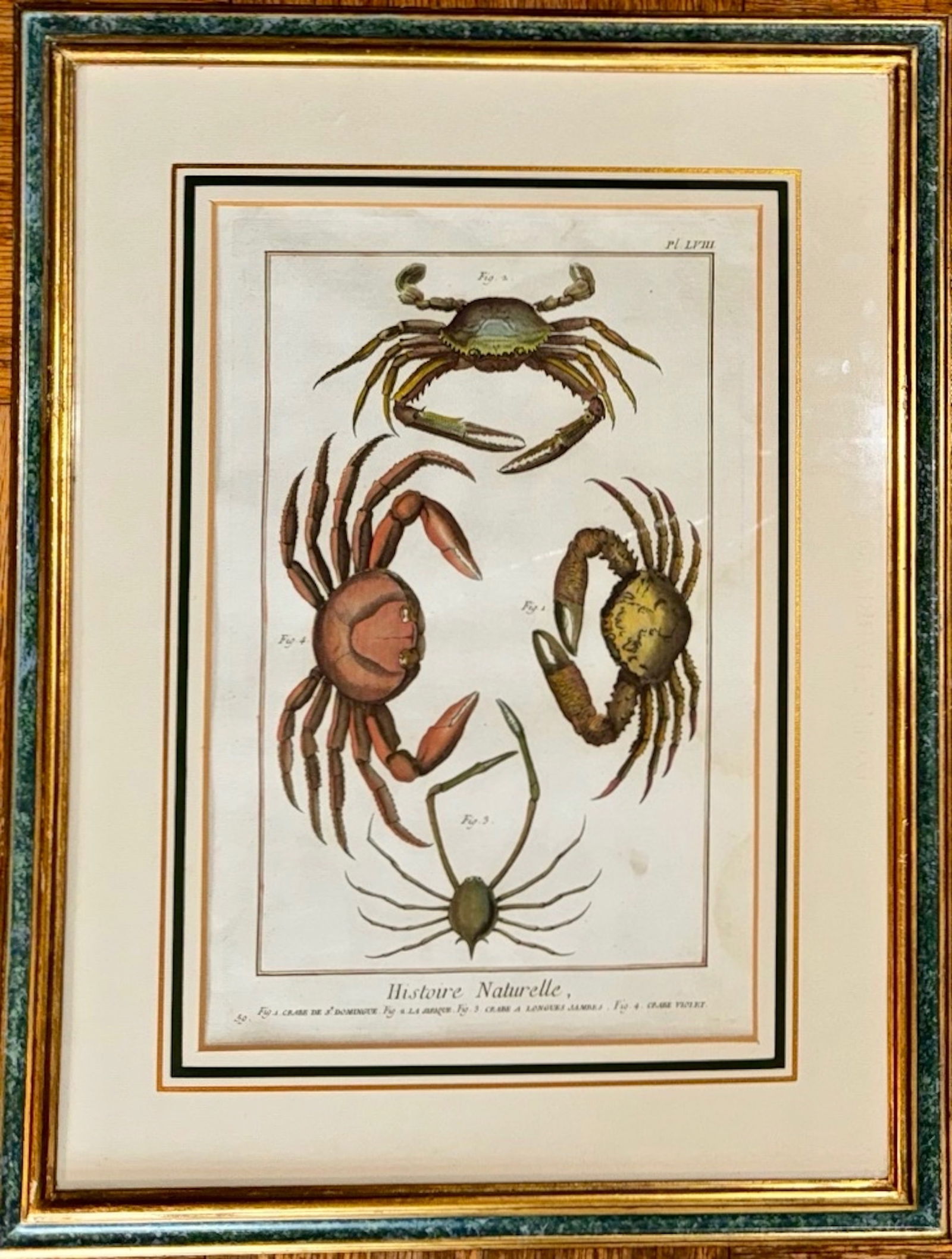 Histoire Naturelle: Marine Life , Diderot & Alembert Hand-Color Engraving, 18th Century (1 of 5)
