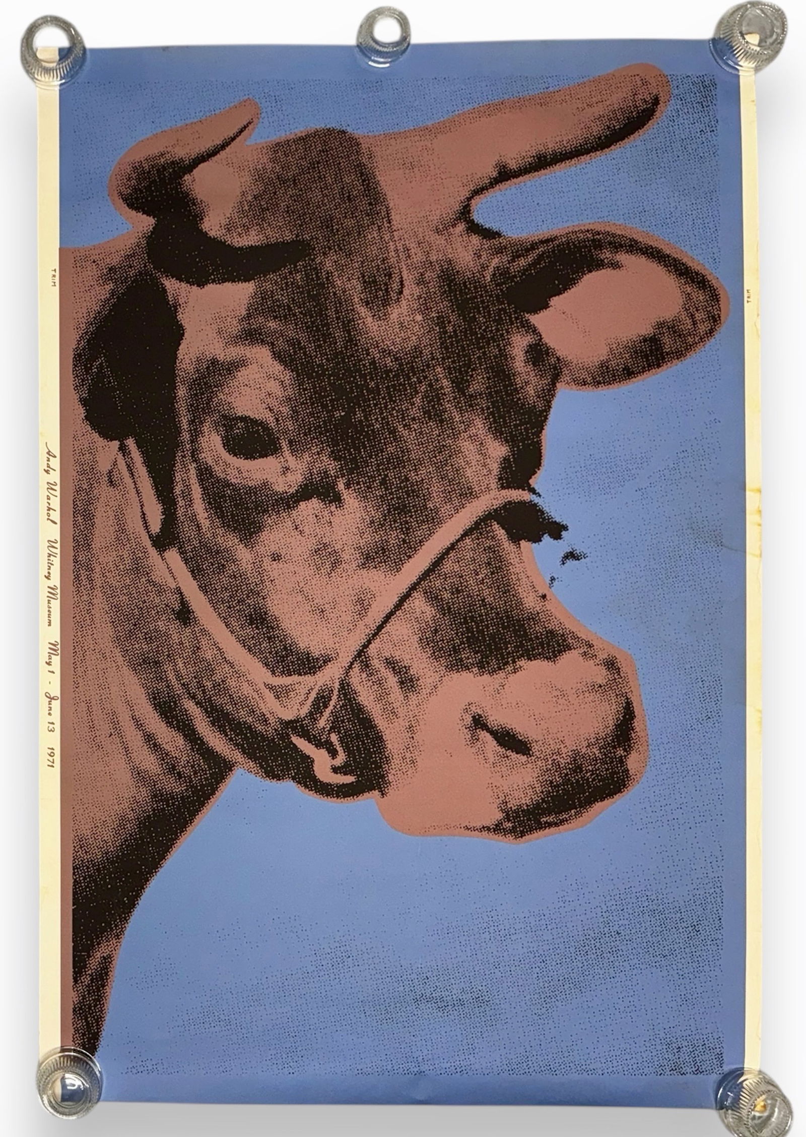 ANDY WARHOL Exhibition Poster COW Whitney Museum Of American Art, 1971 (1 of 4)