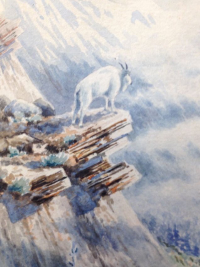 Charles W. Young "British Columbian Mountain Goat" (1 of 4)