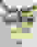 item-40519973=3