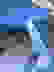 item-40519985=2