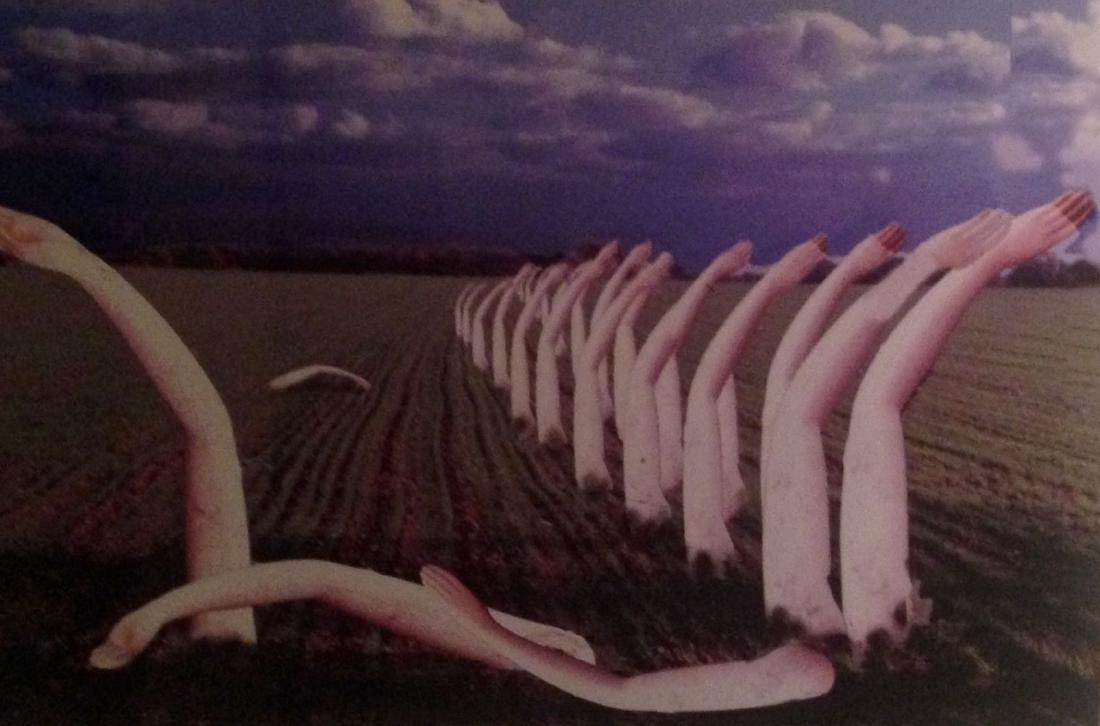 Erotic Photograph, Martin Kantor "After The Storm": Erotic Photograph, Martin Kantor "After The Storm" Medium: framed surreal photograph of limbs growing from the earth Martin Kantor (American b.1960-2015) Photographer: signed by the artist: Martin Kan