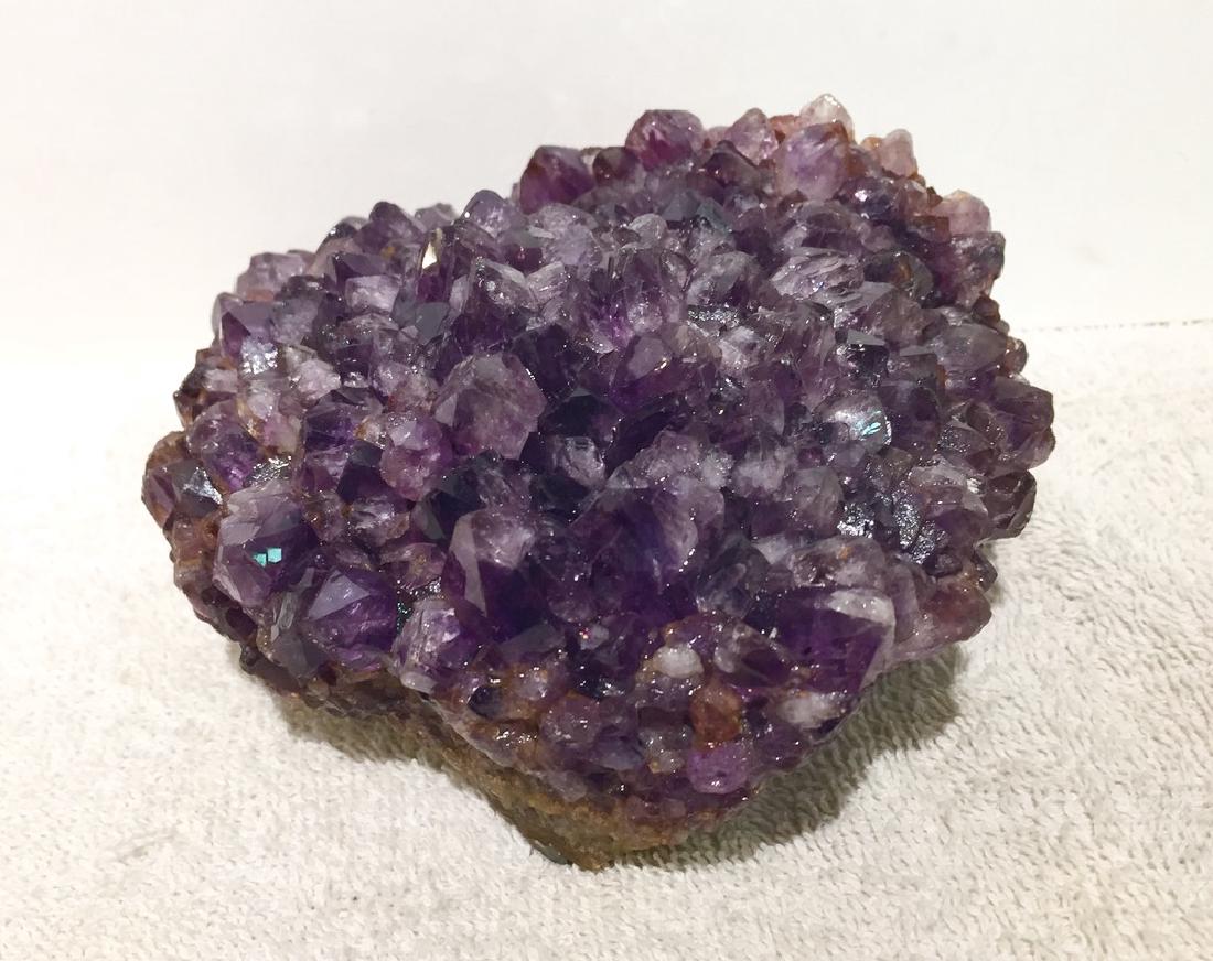 Natural History- Amethyst Mineral Specimen (1 of 5)