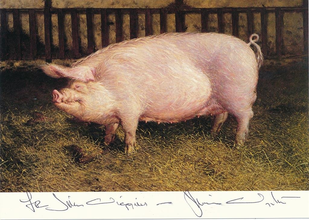 Jamie Wyeth- Color Photograph of "PIG" (1 of 1)