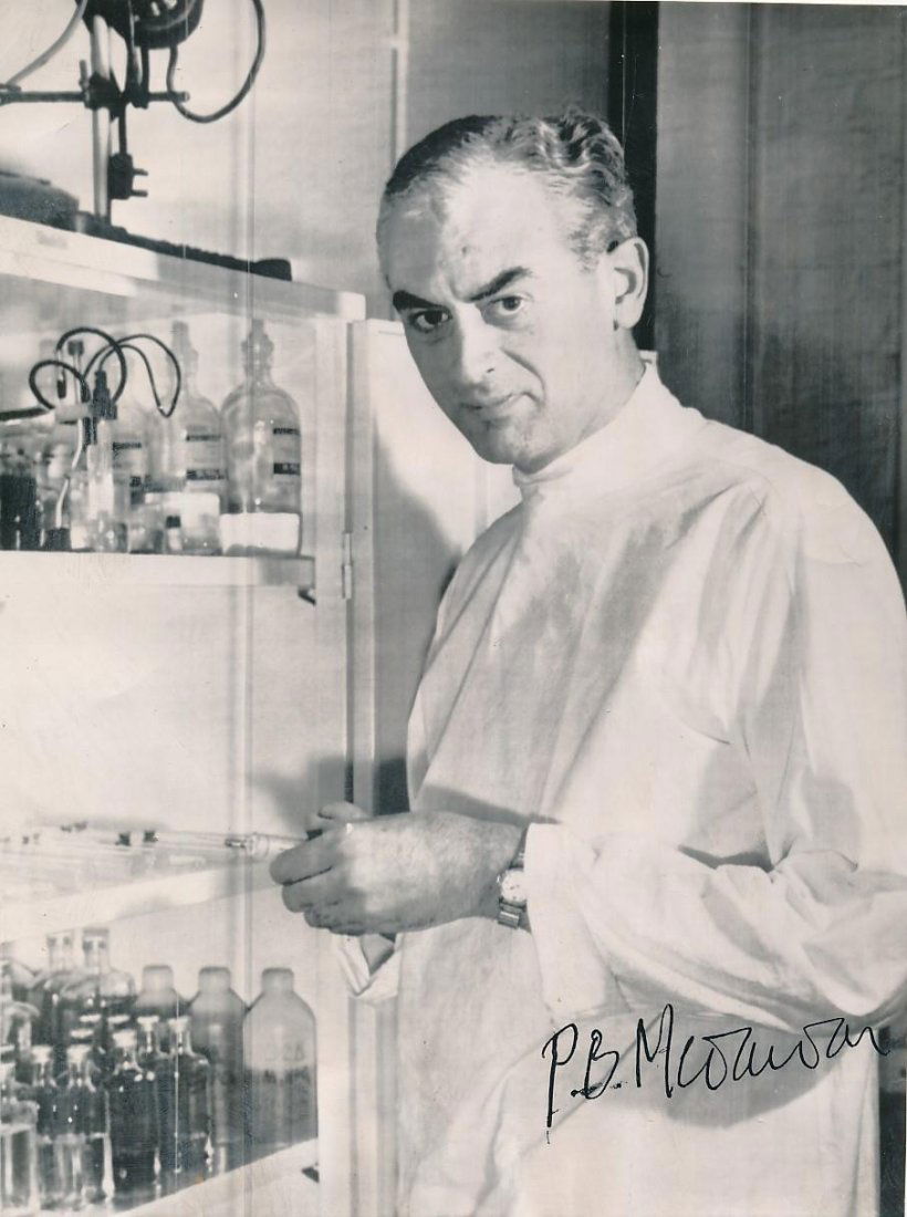 Sir Peter Brian Medawar- (Nobel Prize) Vintage Signed Photograph (1 of 1)